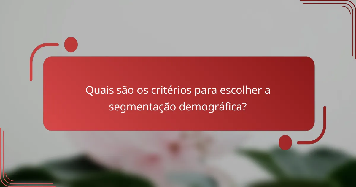 Quais são os critérios para escolher a segmentação demográfica?